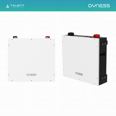 Dyness DL5.0C - 51,2V 5,12 kWh Heimspeicher