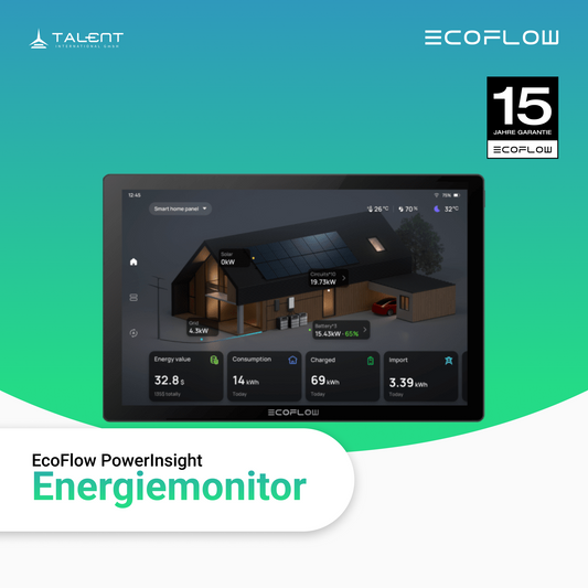 EcoFlow PowerInsight Energiemonitor Home Energy Manager