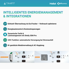 APsystems EZHI Balkonkraftwerk: APsystems EZHI + Hailei Athena Pro Batteriespeicher + 1820W (4 x 455W) Bifacial Glas Full Black PV Module