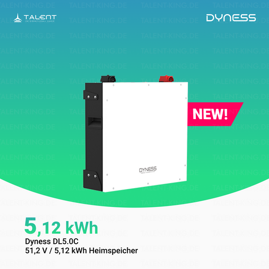 Dyness DL5.0C  - 51,2V 5,12 kWh Heimspeicher