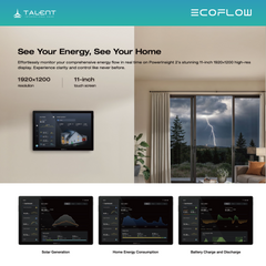 EcoFlow PowerInsight 2 Energiemonitor Home Energy Manager